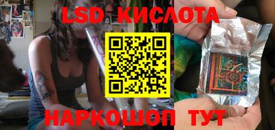 гидра Будённовск