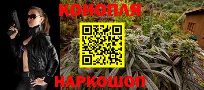 гидра Будённовск