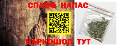 гидра Будённовск