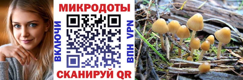 Галлюциногенные грибы MAGIC MUSHROOMS  Кашира 