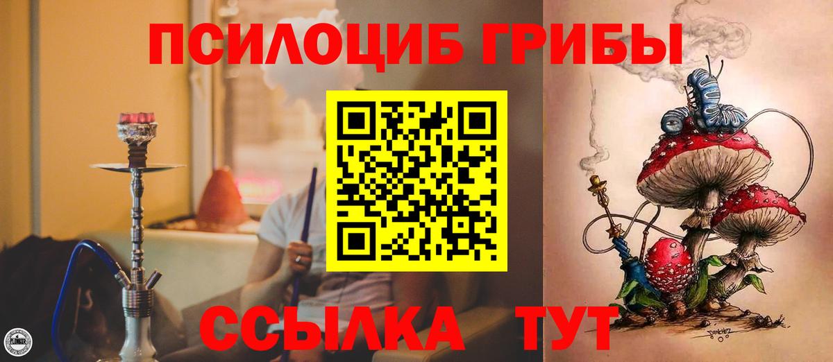 Галлюциногенные грибы Cubensis  Псилоцибиновые грибы мицелий  Вход с VPN  Кашира 